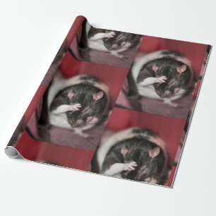 Papier Cadeau Casque