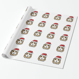 Papier Cadeau Casquette de Père Noël de chinchilla