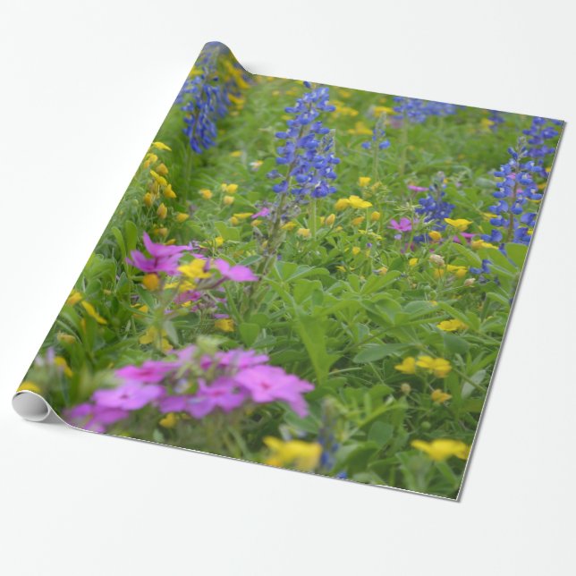 Papier Cadeau Champ du Texas des fleurs sauvages et des (Déroulé)