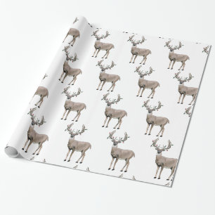 Papier Cadeau Chasse aux cerfs Antlers de Noël Envelopper du pap