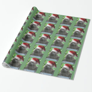 Papier Cadeau Chat à cheveux longs bleu russe de Noël