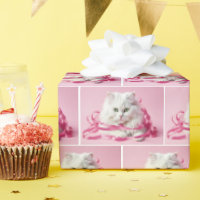 Chat blanc avec cabot rose