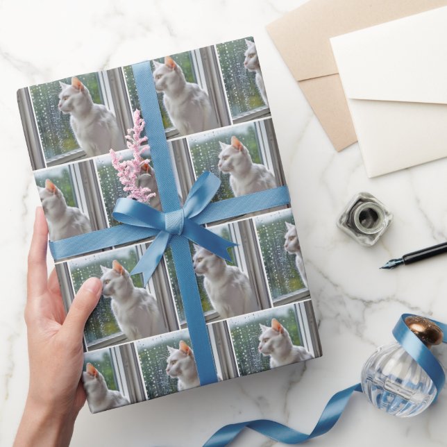 Papier Cadeau Chat blanc regardant par une fenêtre pluvieuse (Cadeaux)