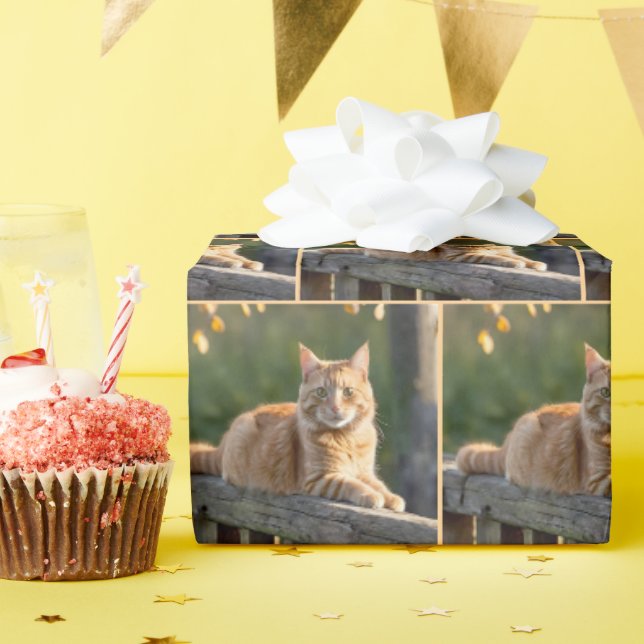 Papier Cadeau Chat de gingembre sur une clôture rustique (Fête d'anniversaire)