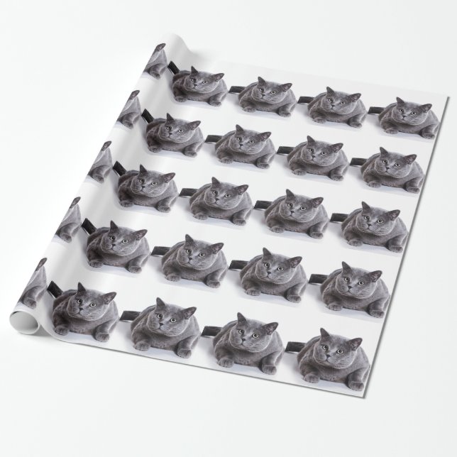 Papier Cadeau Chat gris (Déroulé)