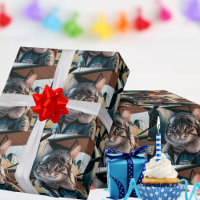 Chat pilote d'anniversaire & Avion Cool Drôle Avia