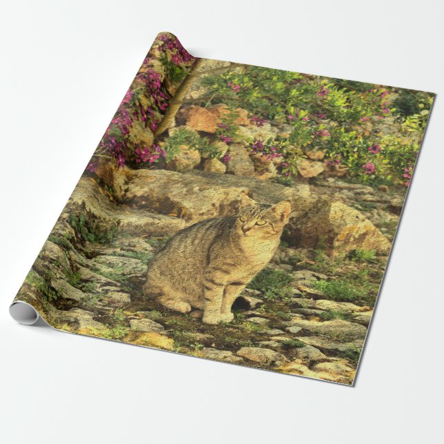 Papier Cadeau Chat se reposant dans le jardin (Déroulé)
