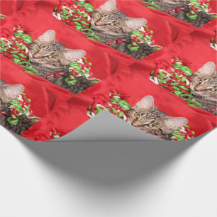 Papier Cadeau Chat tigré de minou de Noël