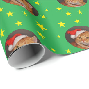 Papier Cadeau Chat tigré orange Noël  