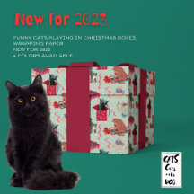 Chats amusants dans les boîtes de Noël Sage