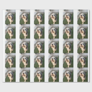 Papier Cadeau Chaussettes pour chiots