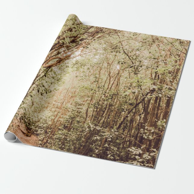 PAPIER CADEAU CHEMIN ENTOURÉ D'ARBRES GRANDS ET VERTS (Déroulé)