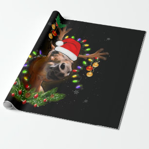 Papier Cadeau Cheval Noël Reindeer Lumières Drôle Cheval Noë