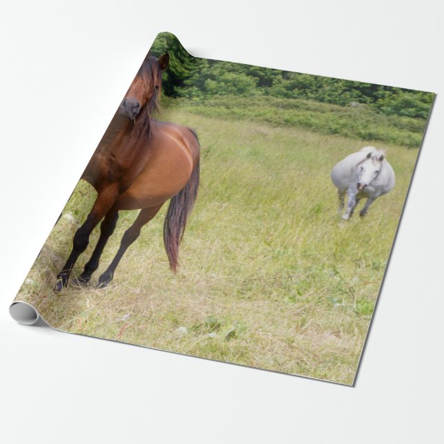 Papier Cadeau Chevaux dans un champ (Déroulé)