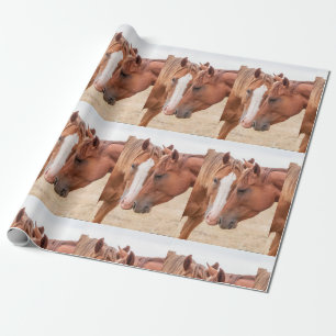 Papier Cadeau Chevaux étourdissant dans un pâturage