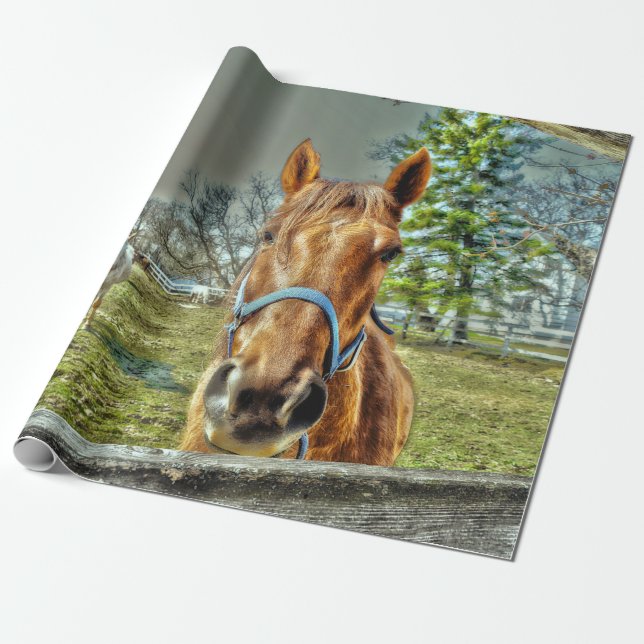 Papier Cadeau Chevaux rustique Pays Western Farm Découpage (Déroulé)