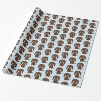 Chien brun chocolat à cheveux longs mignon de