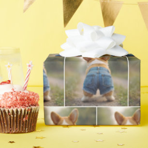 Papier Cadeau Chien de Corgi portant des shorts Denim
