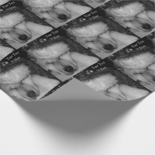 Papier Cadeau Chien de Noël de Cuisine akita