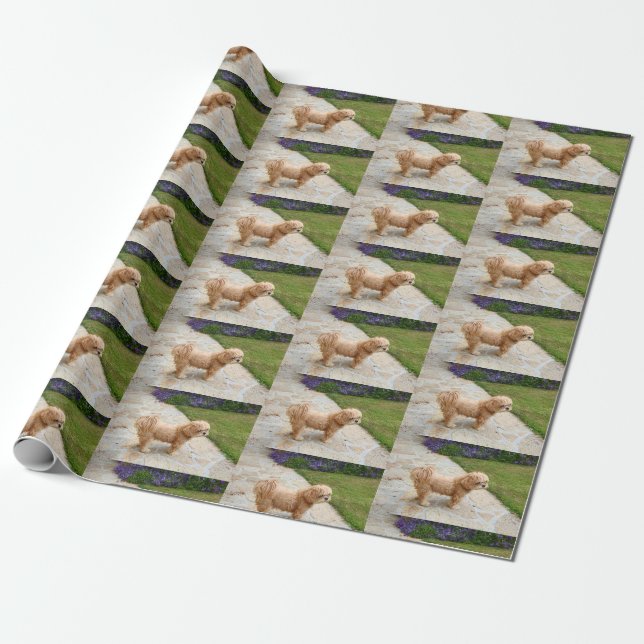 Papier Cadeau Chien de Red Lhasa Apso (Déroulé)