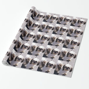 Papier Cadeau Chien de Shih Tzu