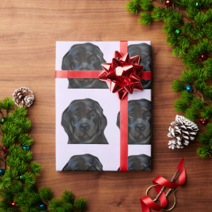Papier Cadeau Chien de Terre-Neuve