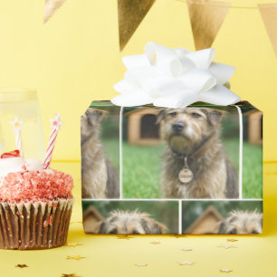 Papier Cadeau Chien Hirsute Adopté Avec Niche