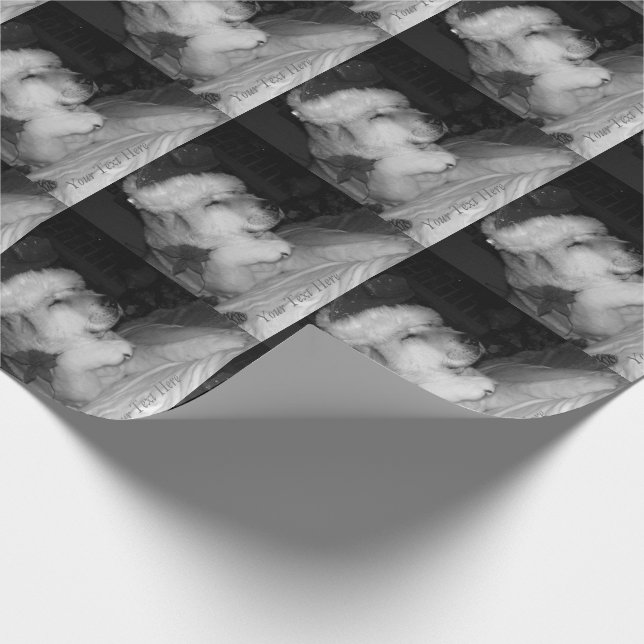 Papier Cadeau Chien mignon d'akita donnant Noël de cône de (Coin)