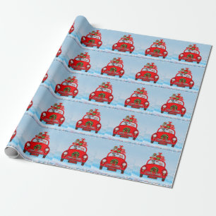 Papier Cadeau Chien schnauzer en voiture avec le Père Noël