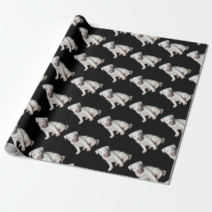 Papier Cadeau Chiot blanc de Pitbull de bébé