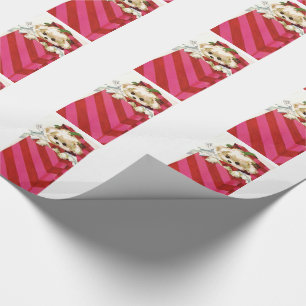 Papier Cadeau Chiot vintage doux Bichon Lhasa de Noël maltaise