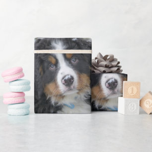 Papier Cadeau Chiots du Montagne des Bernese Deuxième