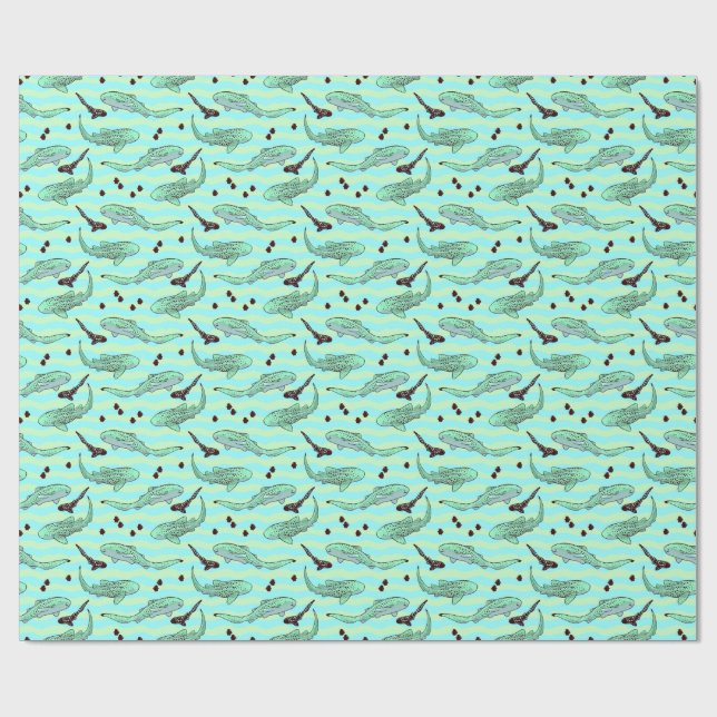 Papier Cadeau Chip de chocolat à la menthe Zebra Sharks (Plat)