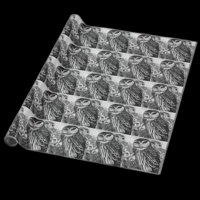 Papier Cadeau Chouettes (Créateur téléchargé)