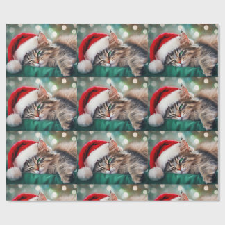 Papier Cadeau Christmas Cat Nap