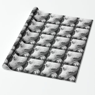 Papier Cadeau cicatrice de harry potter chien pit bull blanc