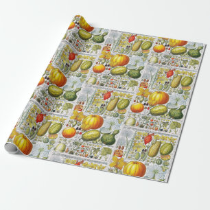 Papier Cadeau Citrouilles Antiques Planche Botanique de Livre #5