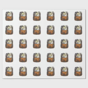 Papier Cadeau Citrouilles d'Halloween Chat Gris Chauve-Souris Pl