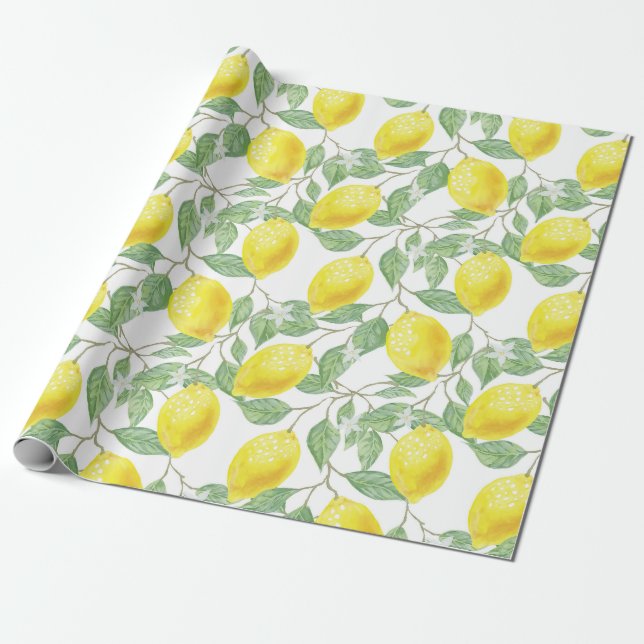 Papier Cadeau Citrus (Déroulé)