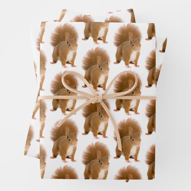 Papier Cadeau Classique Écureuil Rouge Fluffy (En situation)