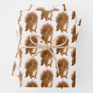 Papier Cadeau Classique Écureuil Roux Fluffy