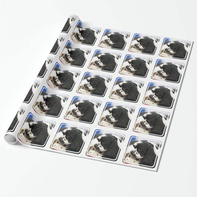 Papier Cadeau Cocker noir et blanc (Déroulé)