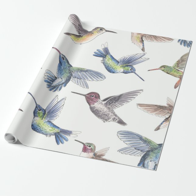 Papier Cadeau Colibri (Déroulé)