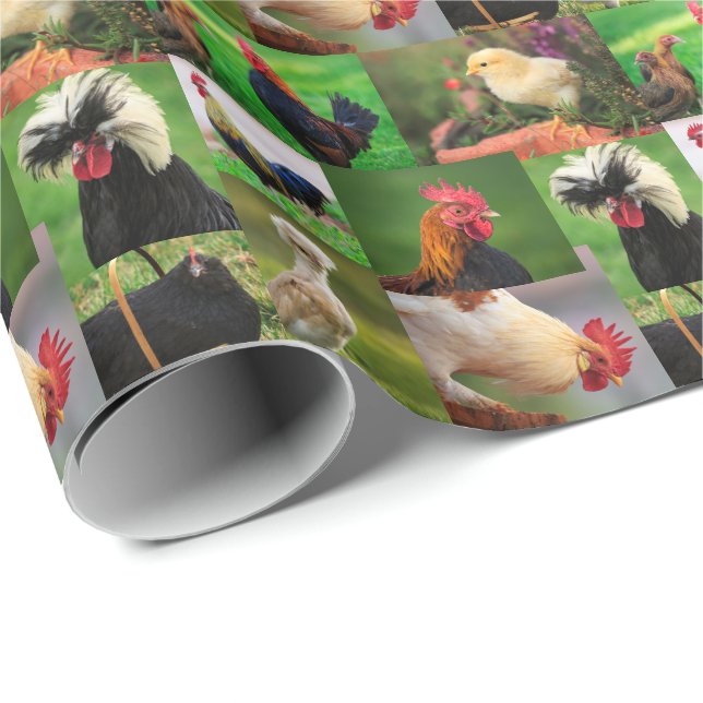 Papier Cadeau Collage de poulets de ferme (Coin rond)