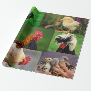 Papier Cadeau Collage photo de la ferme de poulets