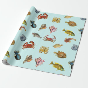 Papier Cadeau Collection de poissons et de coquillages vintages