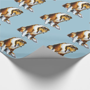 Papier Cadeau colley