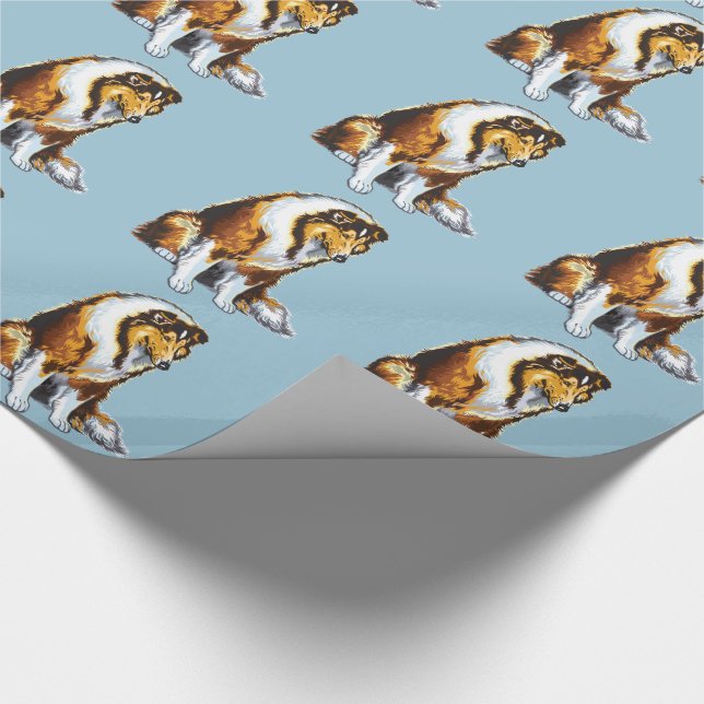 Papier Cadeau colley (Coin)