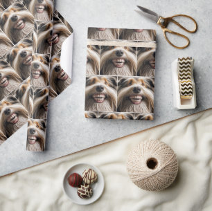 Papier Cadeau Collie à poils avec un Grin à dents