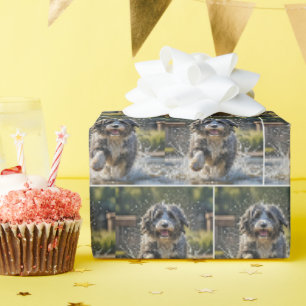 Papier Cadeau Collie Arrosé S'Éclaboussant Dans La Poubelle